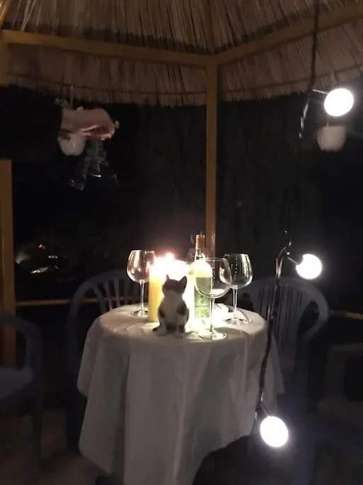 Summer House -Room For 5 People In 1St Floor - J Velipoje Albania