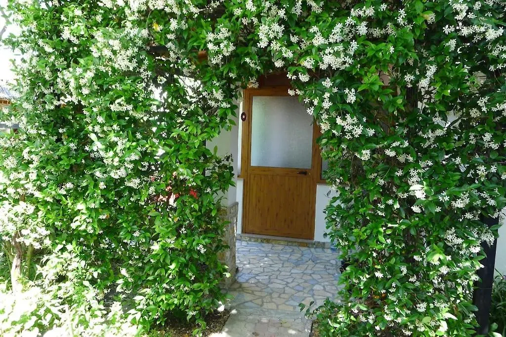 Summer House -Room For 5 People In 1St Floor - J Velipoje Holiday home
